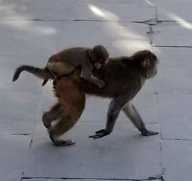 20171127_134334 edited