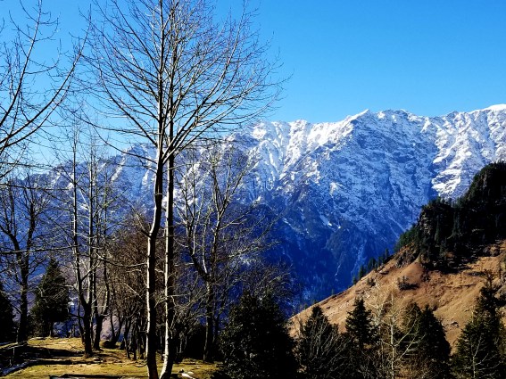 20171130_120535 edited