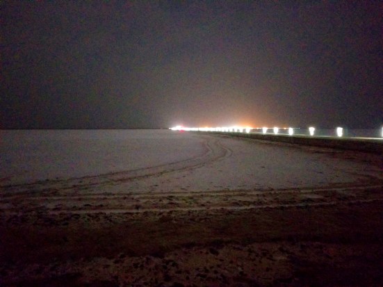 white rann under night